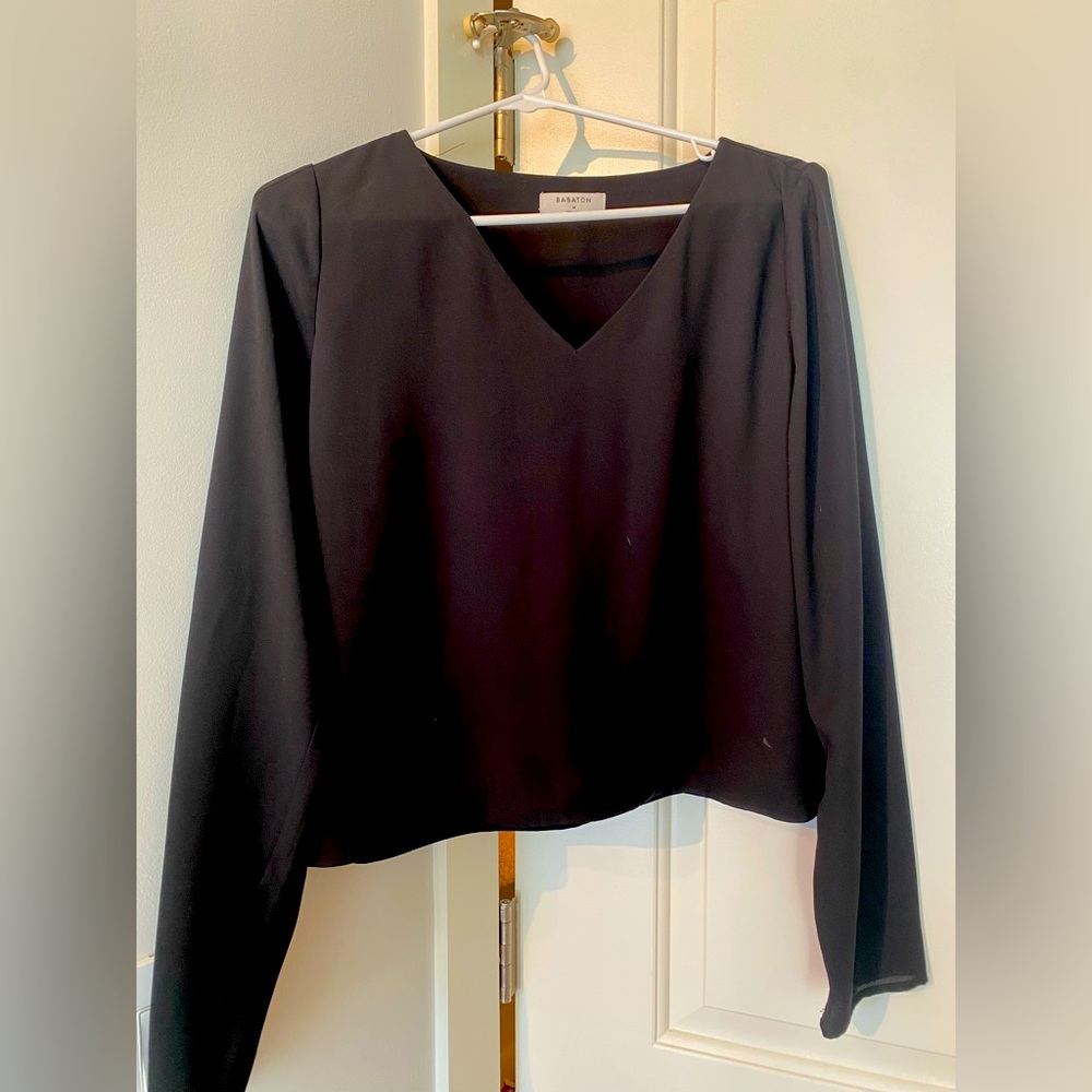 Aritzia Murphy Blouse